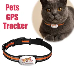 Andra hundförsörjningar 4G Pet Tracker GPS Locator Antilost Waterproof Hitta enhet Remote Control Coll Colling för hundkatter 230720