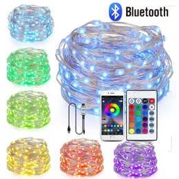 Strings 5/10/20M USB LED String Light App Bluetooth-compatible Lights Lamp Waterproof Fairy For Christmas Tree Decoration