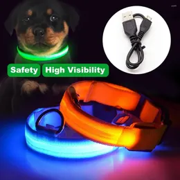 Collari per cani Collare a led USB Batteria Perro Anti-Lost/Evita incidenti automobilistici Luminoso Sicurezza Personalizado Pet Chien Prodotto Glow In Dark