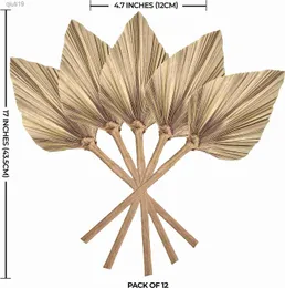 Dried Flowers Dried Palm Leaves Decoration Boho Palm Fans Dried Palm Spear Tropical Palm Wedding Home Artificial Plants for Decor R230720