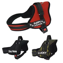 Dog Collars Leashes Custom Harness Large Name ID Tag Small Medium Big for Dogs230720