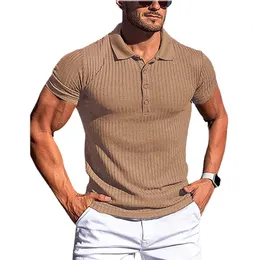 Polo Masculino Polo de Verão Listras Sólidas Fitness Camisa de Manga Curta Elástica Gola em Pé 230720