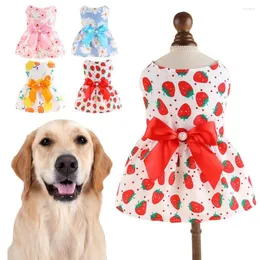 Ubrania z odzieżą dla psów Dwuzieżna smycz smyczowy zestaw Bowknot Teddy Bichon Cat Holder wiosna i letni oddychający kwiatowy druk księżniczka miękka