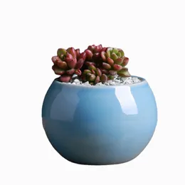 Lot De 4 Petits Pots De Fleurs En Céramique Blanche Pour Plantes