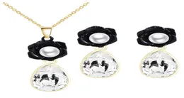 Brincos de colar de cristal de lágrima de pérola preta, conjunto de joias de noiva, joias baratas de alta qualidade para mulheres 800062988096