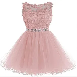 2019 New Cheap Tulle Short Prom Dresses Plus Size Appliques