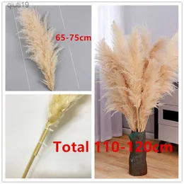 ドライフラワー10pcs herbe de la pampa 80-120cm Naturelle fleurs Sechee Beige Boho Bouquet Pour Mariage Wedding Supplies Decor R230720