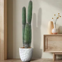 Dekorativa blommor konstgjorda tropiska kaktusar faux öken kakti kruka falska saguaro gröna växter hus trädgård kontor butik dekoration