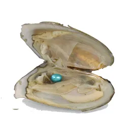 100 Stück, Vakuumverpackung, Oyster Wish Süßwasserperle, 6–8 mm, gemischte Farbe, ovale Oyster-Reisperlen, blau ZH001295N