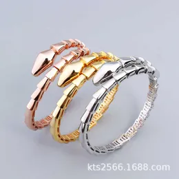 Modetillbehör Fengqi Snake Armband Ring Set Smooth and Simple Snake Bone Women's Favorite Jewelry Network Popular Style