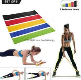 5PCS Zestaw oporności opaska Fitness 5 Poziomy lateksowy trening siłowy gumowe Pętle opaski fitness Sport Sports Yoga Belt Pętle z torbą