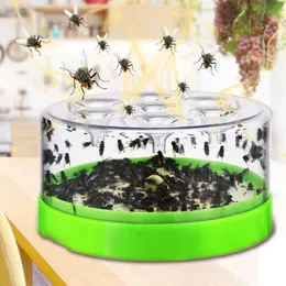 مجموعات ذبابة تلقائية ذبابة ذباب القاتل منزل حديقة مطعم Flycatcher Catch Canteen Fly Hine Indoor Indoor Ensect Trap Startain Startain