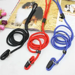 Nylonhundträning Leash Dogs P Chain Slip Collar Walking Leads Rope S M L för små medelstora raser Chihuahua Teddy2025