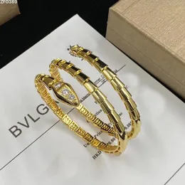 Projektant mody Bransoletka Wąż Bieć Luksusowa biżuteria Projektanci Kobiety Rise Gold Silver Otwarte Regulowane Bracelets Bracelets Diamentowe mankiet biodro