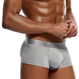 UNDUTTS Modal Erkek Panties Erkek Düşük Bel Boksör Pantolon Düz Renk Taytlar Büyük Çantalar U Dışbükey Jockstrap Brifs