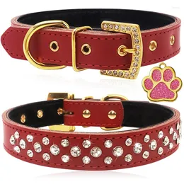 Hundhalsar Bling Rhinestone Pet Collar med Tag Puppy Cat Soft Leather Halsband för små medelstora hundar Katter Chihuahua Teddy Yorkie