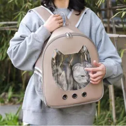 Trasportini per gatti Traspirante Borsa per il trasporto Spazio Spalla unica Gatti in uscita Zaino Cucciolo Portante portatile Mochilas Animal