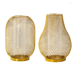 Vases Golden Wireframe Vase Plant Modern Restaurants Decoration Gift GXMA