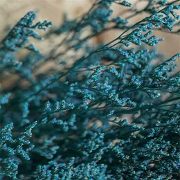 الزهور المجففة 80G عاشق جاف مجفف العشب زخرفية محفوظة حقيقية باقة زهرة الرقص زهرة للديكور المنزل ديكور المنزل R230725
