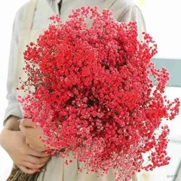 Dried Flowers Dried Babys Breath Flowers Bouquet Natural Dry Flowers for Wedding Flowers Table Decor DIY Wreath Floral Home Decoration R230725