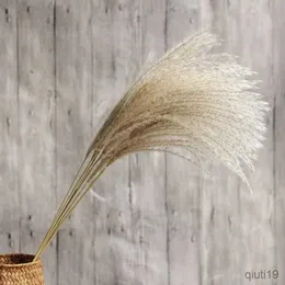 Dried Flowers Real Grass Natural Dried Flowers Plants Wedding Decoration Bouquet Fluffy Lovely Decor Accesories For Home Fleurs R230725