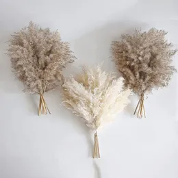 Fiori secchi 50 cm Bouquet Pampas Erba Reed Fleurs Sechees Flores Decorazioni per la casa artificiali Decorazioni per matrimoni natalizi 230725