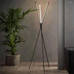 Floor Lamps Modern Simple Lamp LED 24W For Living Room Sofa Reading Lights Bedroom Nordic Home Indoor Tripod Standing