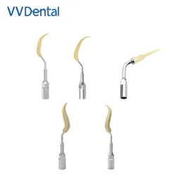 Tende Vvdental Materiale ad alto contenuto polimerico Punta per scaler dentale ad ultrasuoni per la pulizia di impianti dentali ortodontici per denti e protesi