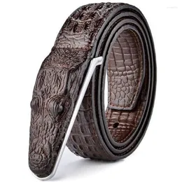 Bälten Luxury Leather Designer Men's Belt Crocodile Skin äkta alligator remhuvudet Real Cowhide