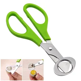 Pigeon Quail Egg Scisor Cutter Apri Apri Apri cucina Clipper Sale Shells Scissors Cracker Caro in acciaio inossidabile Casa B1101 0508