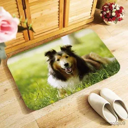 Carpets Thicken soft doormat beautiful photo printed home Decor floor carpet door mat hallway kitchen bathroom rugs 40x60cm R230728