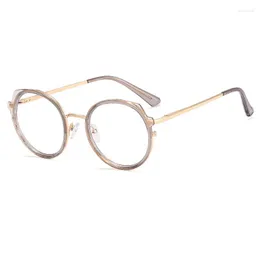 Sonnenbrille Runde Retro Brille Rahmen Frauen Brillen Computer Optische Anti-blau Licht Spektakel Weiblich Niedlich