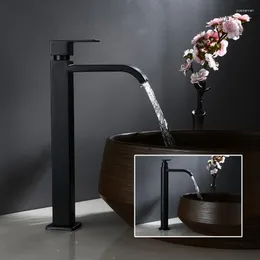 Bathroom Sink Faucets Faucet High 304 Stainless Steel Cold Water Basin Only Black