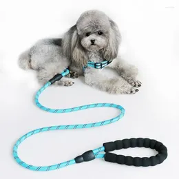 Hundehalsbänder 150/200/300 cm Starke Leine Haustier Reflektierendes Outdoor-Training Nylon Katzenhalsband Zubehör