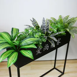 装飾的な花シミュレーションアロエベラコーンは緑の植物トロピカルフラワーベッドボックススロットグラディオラス