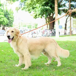 犬の襟マルチカラーコットンロープ170cmカラー快適なトレーニングトラクションペット爆発防止ラウンドコードPチェーン