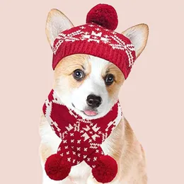 Hundkläder 1 Set Pet Hat Scarf Snowflake Mönster All- Skin Friendly Dogs Sticked Beanie NeckerChief Kit Winter Winter