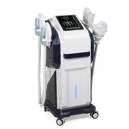 Ny EMS -skulptur Slantmaskin Fat Freezing Viktminskningsanordning Emslim Sculpt 360 Cryolipolyss Beauty Salon Equipment