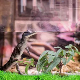 Dekorative Blumen, simulierte Dekorverzierungen, Ornamente für Reptilienboxen