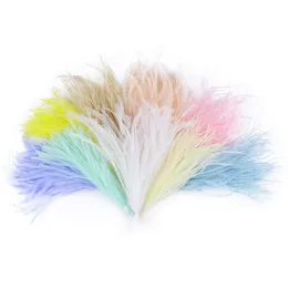 100pcs/bunch Natural Feather Tassel Trims Jewelry Making 10-18CM Dyed Ostrich Plume Wedding Dress Clothes Decoration