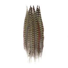 10st Natural Pheasant Tail Feather Home Nålarbetet Däck smycken klänning Vase örhänge Hantverk Material Hantverk dekoration