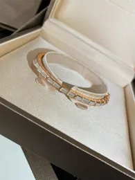 Modisches Schlangenknochengelenk, hochelastisches Damen-Armband, personalisierter Stil, Schlangenform-Armband