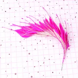 ジュエリーハットヘッドドレスの飾り羽の羽毛の羽毛の羽毛の羽毛の羽毛の羽毛クラフトアクセサリープルーム25〜30 cm