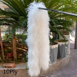 Feather Boa 10ply 2 meter naturlig fluffig strutsfjällskal anpassad för cosplayklädklänning