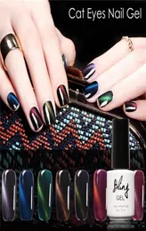 Whole Bling 3D Cat Eyes UV Gel Polish 6ML Soak Off Led UV Gel Nail Polish Magnetic Gel Lacquer Longlasting 30 Days8749515