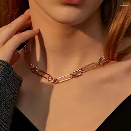 Chains Hip Hop Thick Chain Necklace Vintage Cool For Women Jewelry Clavicle Necklaces Charms Jewellery Choker Colar 1Z6C4