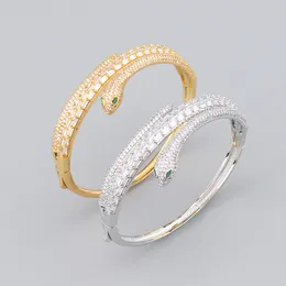 Coppia di ghiottonali oro Snake Diamond braccialetti Amicizia Bracciale Silver Bangle Gioielli Femmme Love for Women Couple Bracelets Gift per feste di Jewlery Party Wedding