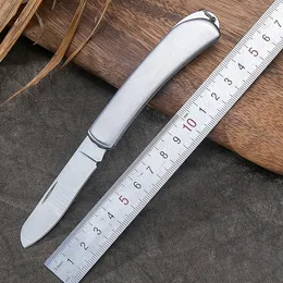 Small Folding Knife Portable Camping Knife Multi function Stainless Steel Pocket Paring Knife Keychain EDC Tool Silver Cutter Blades Fruit Knifes