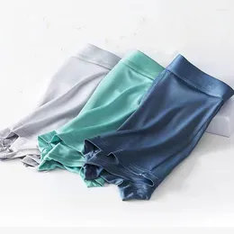 Underpants 4Pcs/Lot Summer Ice Silk Boxers Briefs Transparentes Hombre Panties Shorts Lingerie Men Boxer Underwear