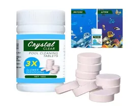 100st Swimming Pool Accessories Cleaning Tabletter Desinfektionsverktyg Klortabletter Instant brusande rör Rengöring av vatten DI6757637
